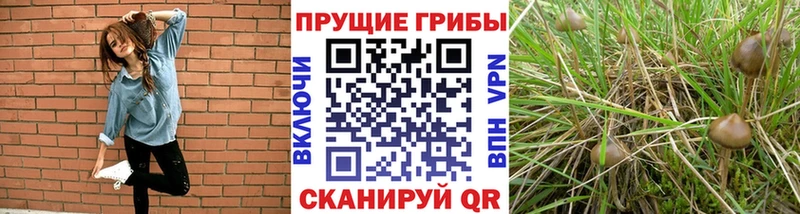 Псилоцибиновые грибы прущие грибы  сколько стоит  Верещагино 